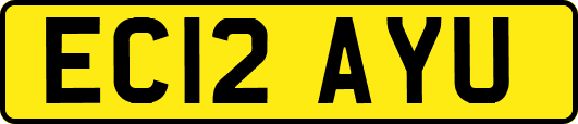 EC12AYU