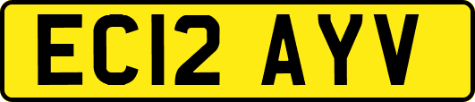 EC12AYV