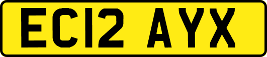 EC12AYX
