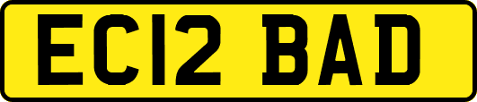 EC12BAD