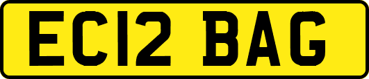 EC12BAG