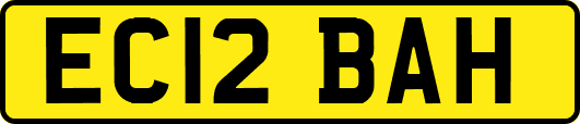 EC12BAH