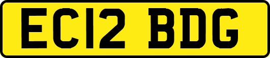 EC12BDG