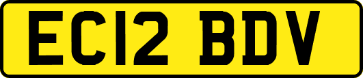 EC12BDV