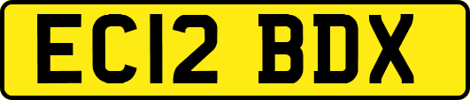 EC12BDX