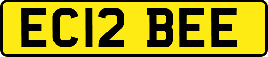 EC12BEE