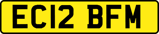 EC12BFM