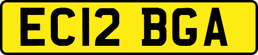 EC12BGA