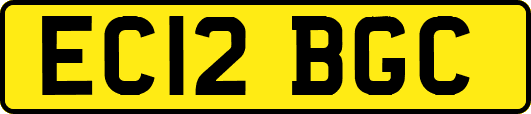 EC12BGC