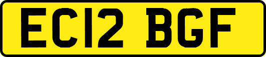 EC12BGF