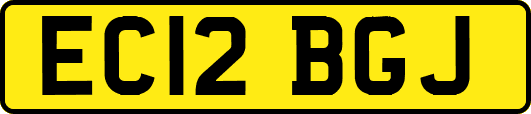 EC12BGJ