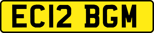 EC12BGM