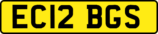 EC12BGS
