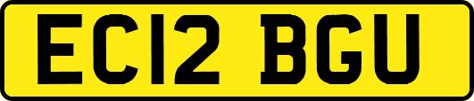 EC12BGU