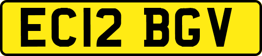 EC12BGV