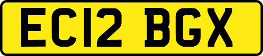 EC12BGX