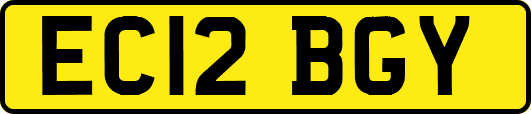 EC12BGY