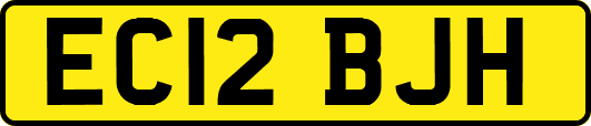 EC12BJH