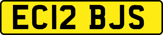 EC12BJS