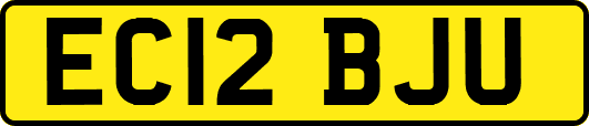 EC12BJU