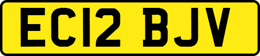 EC12BJV
