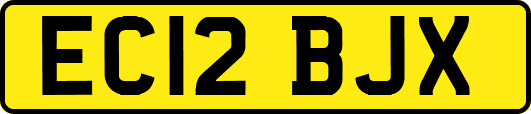 EC12BJX