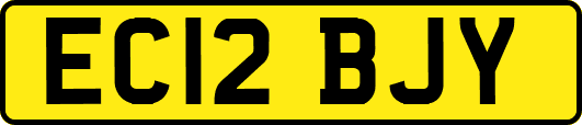 EC12BJY