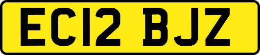 EC12BJZ