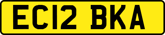 EC12BKA
