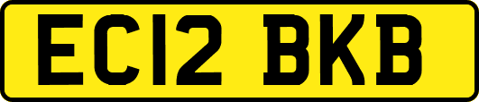 EC12BKB