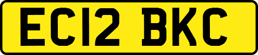 EC12BKC