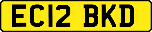 EC12BKD