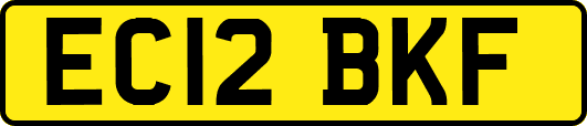 EC12BKF