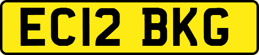 EC12BKG
