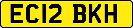 EC12BKH