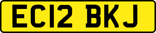 EC12BKJ