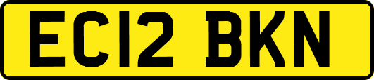 EC12BKN