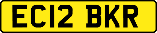 EC12BKR