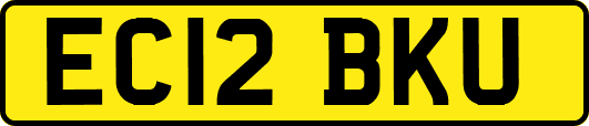 EC12BKU