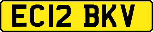EC12BKV