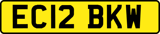 EC12BKW