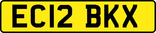 EC12BKX