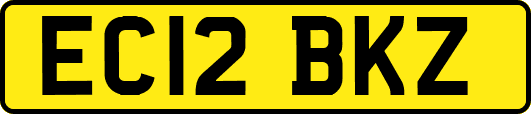 EC12BKZ