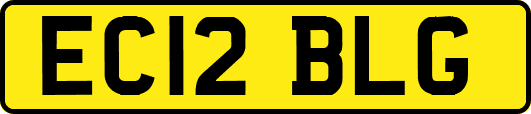 EC12BLG