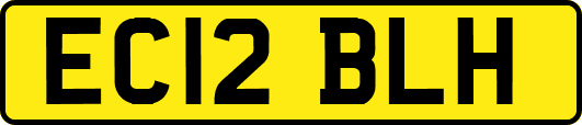 EC12BLH