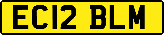 EC12BLM