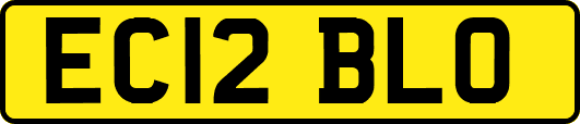 EC12BLO