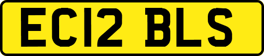 EC12BLS