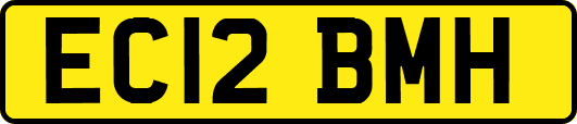 EC12BMH