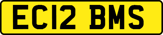 EC12BMS